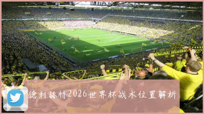 德利赫特2026世界杯战术位置解析