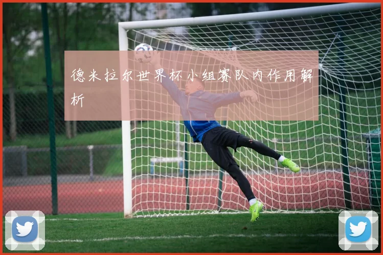 德米拉尔世界杯小组赛队内作用解析