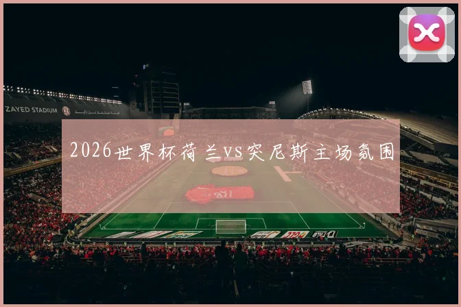 2026世界杯荷兰vs突尼斯主场氛围
