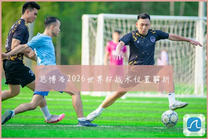 恩博洛2026世界杯战术位置解析