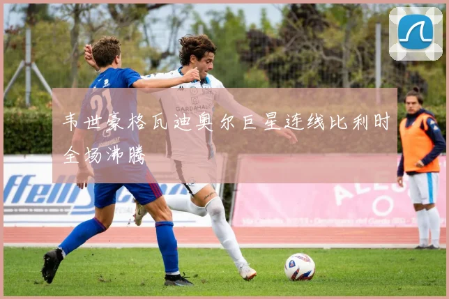 韦世豪格瓦迪奥尔巨星连线比利时全场沸腾