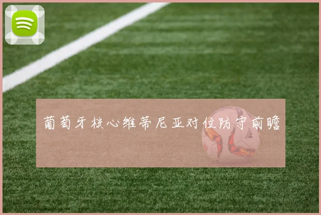 葡萄牙核心维蒂尼亚对位防守前瞻