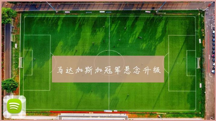 马达加斯加冠军悬念升级