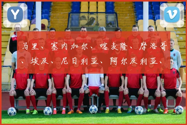 马里、塞内加尔、喀麦隆、摩洛哥、埃及、尼日利亚、阿尔及利亚、科特迪瓦
