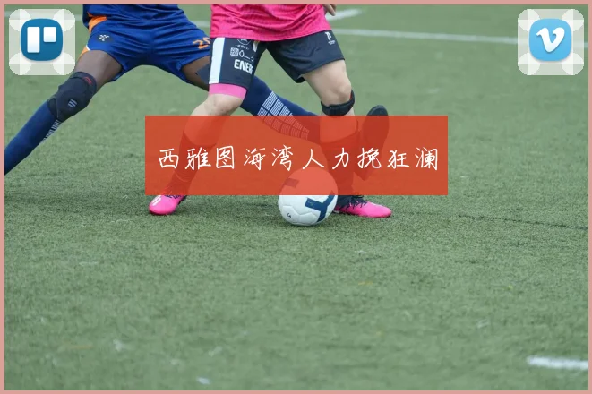 西雅图海湾人力挽狂澜