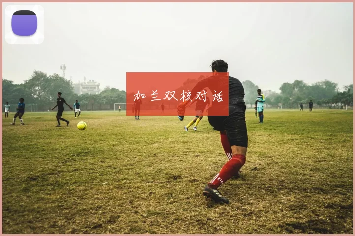 加兰双核对话