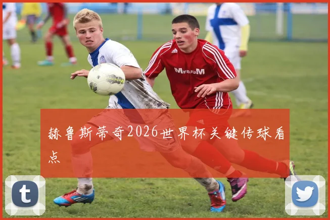赫鲁斯蒂奇2026世界杯关键传球看点