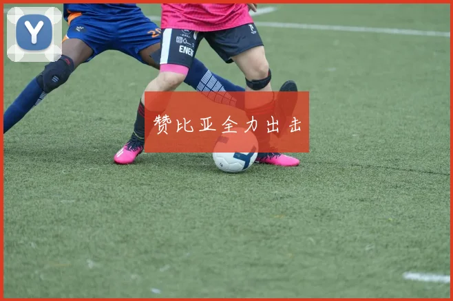 赞比亚全力出击