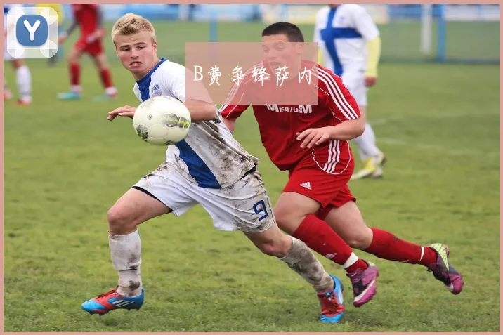 B费争锋萨内