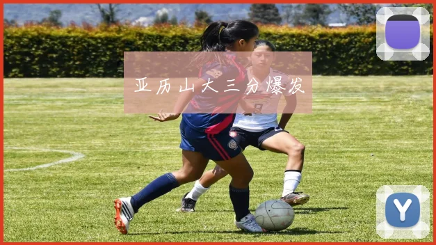 亚历山大三分爆发
