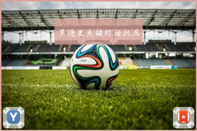 罗德里关键对话托尼