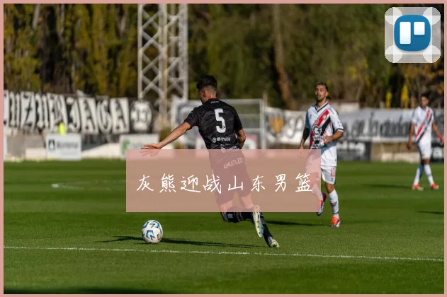 灰熊迎战山东男篮