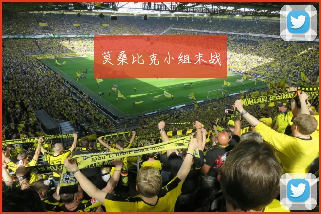 莫桑比克小组末战