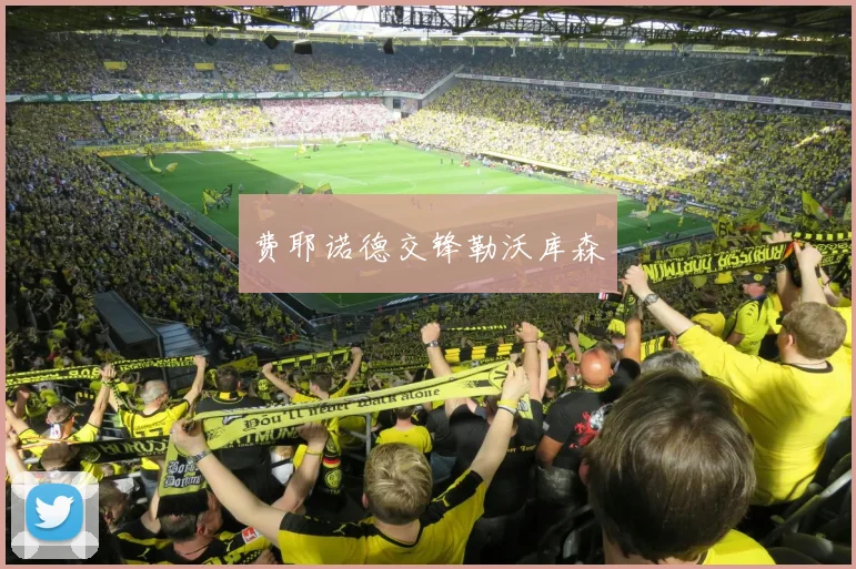 费耶诺德交锋勒沃库森