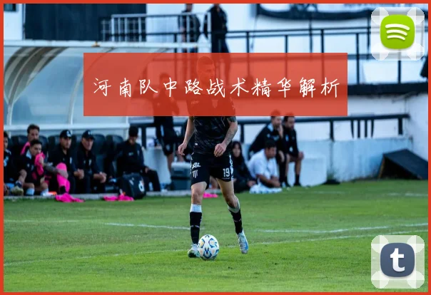河南队中路战术精华解析