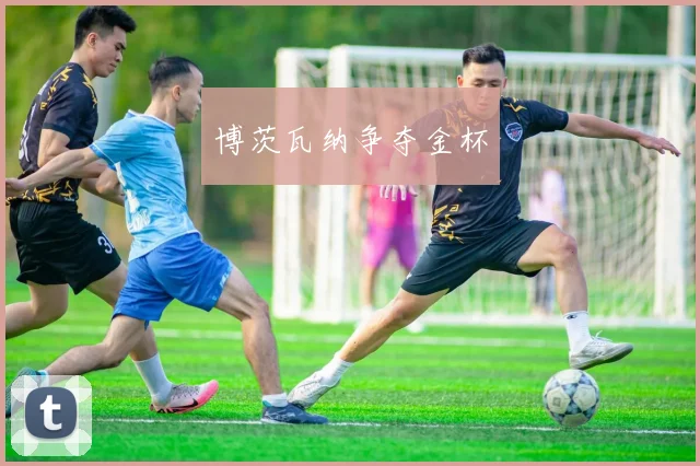 博茨瓦纳争夺金杯