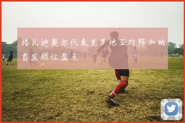 格瓦迪奥尔代表克罗地亚对阵加纳首发顺位盘点
